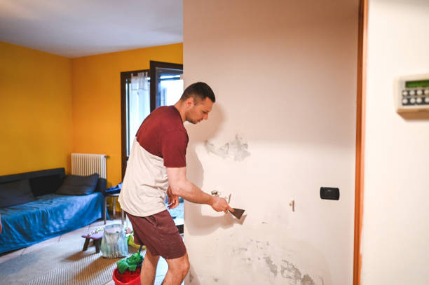 Best Attic Mold Removal  in Richton Park, IL